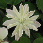 �����̔��Ԃ̍݌Ƀ��X�g