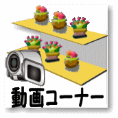 当園の鉢花の在庫リスト