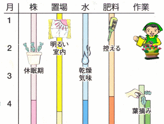 �f���}�[�N�J�N�^�X�N�ԊǗ��\