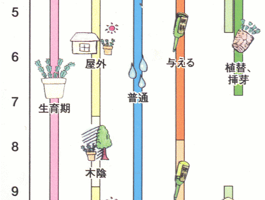 �f���}�[�N�J�N�^�X�N�ԊǗ��\