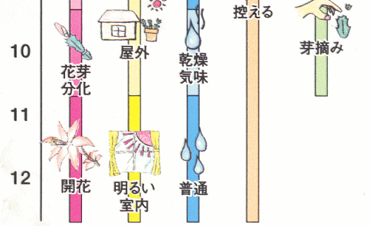 �f���}�[�N�J�N�^�X�N�ԊǗ��\